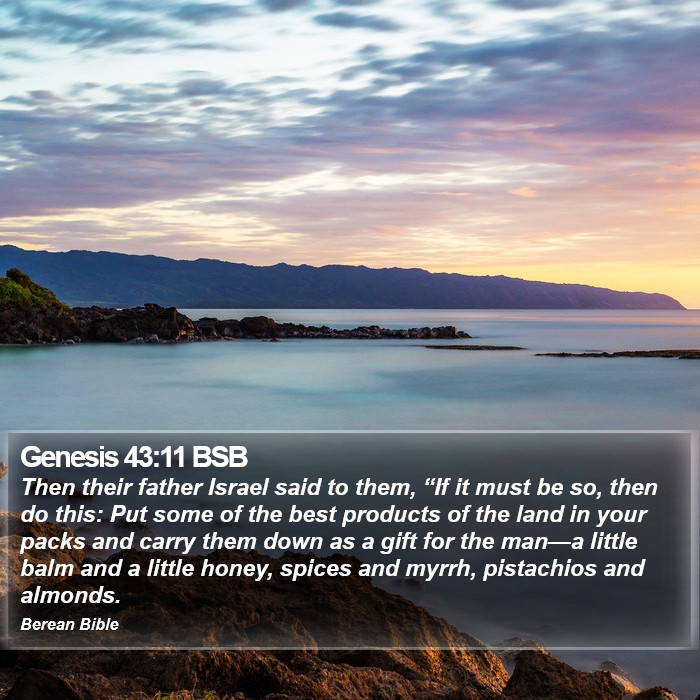 Genesis 43:11 BSB Bible Study