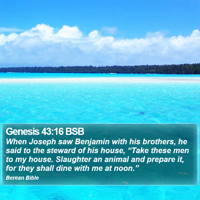 Genesis 43:16 BSB Bible Study