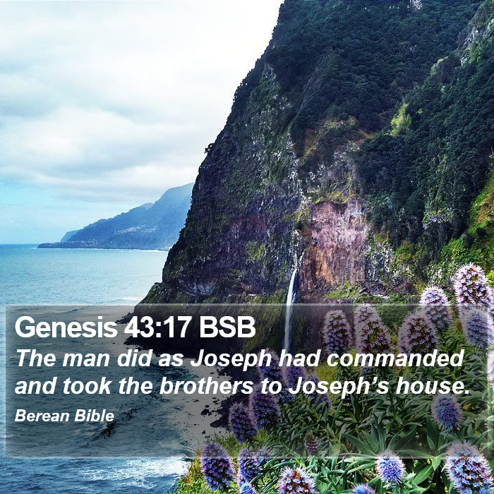 Genesis 43:17 BSB Bible Study