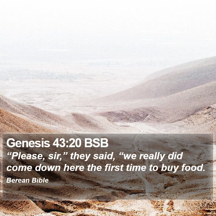 Genesis 43:20 BSB Bible Study