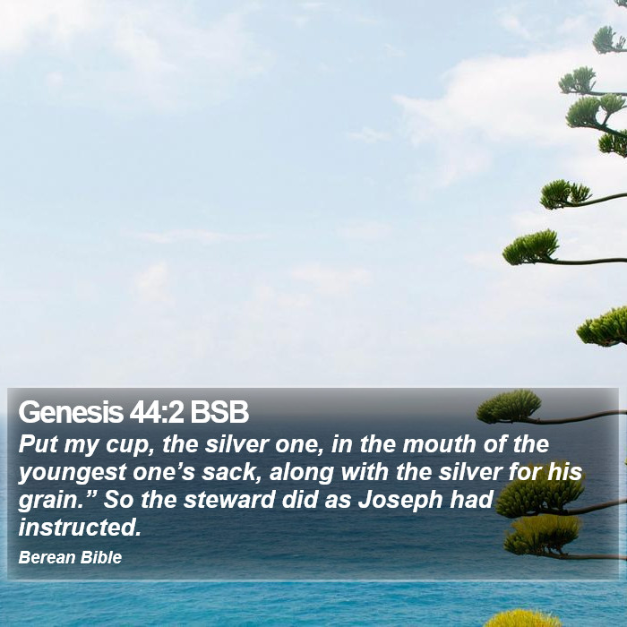 Genesis 44:2 BSB Bible Study