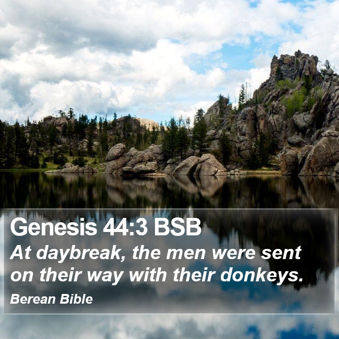 Genesis 44:3 BSB Bible Study