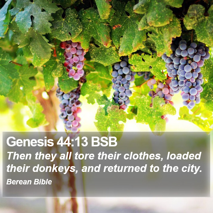 Genesis 44:13 BSB Bible Study