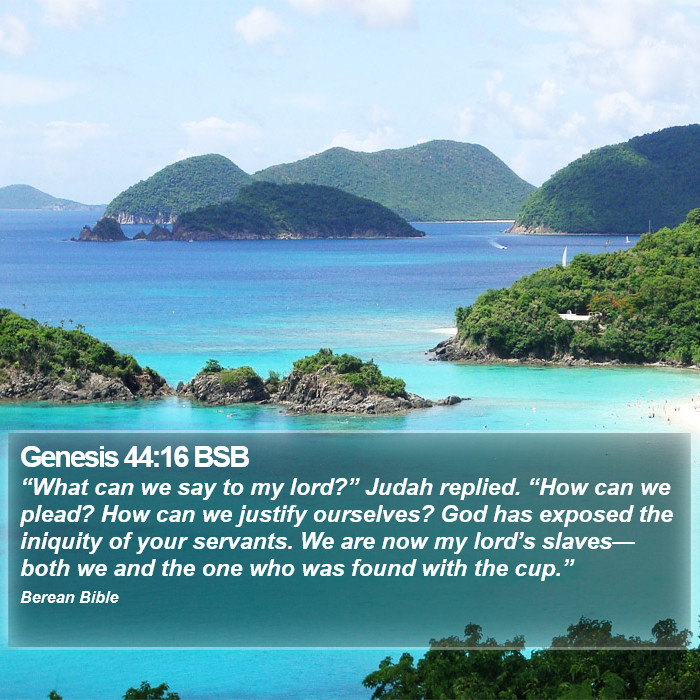 Genesis 44:16 BSB Bible Study