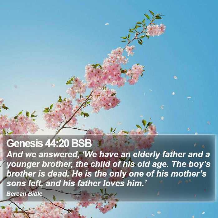 Genesis 44:20 BSB Bible Study