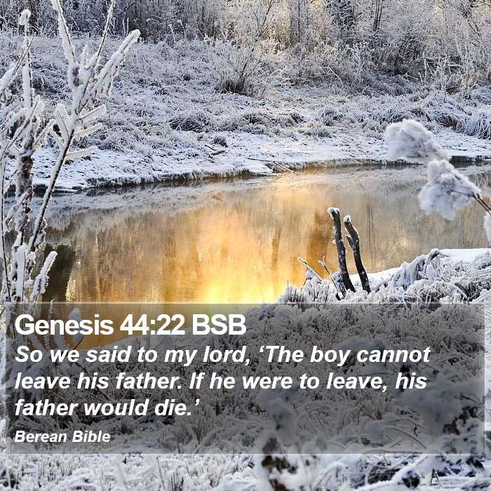 Genesis 44:22 BSB Bible Study