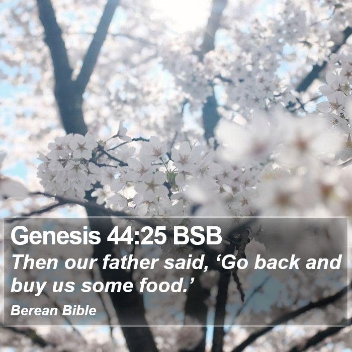 Genesis 44:25 BSB Bible Study