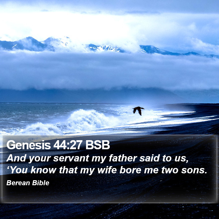 Genesis 44:27 BSB Bible Study