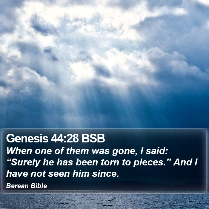 Genesis 44:28 BSB Bible Study