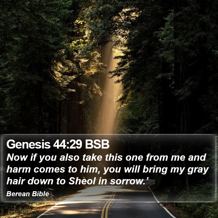 Genesis 44:29 BSB Bible Study