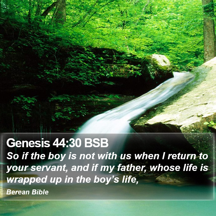 Genesis 44:30 BSB Bible Study