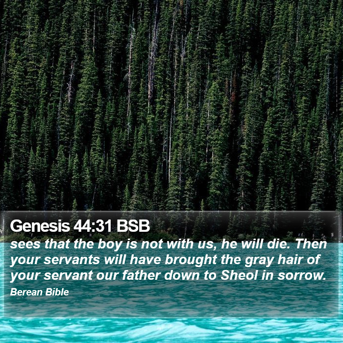 Genesis 44:31 BSB Bible Study