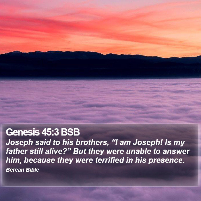 Genesis 45:3 BSB Bible Study