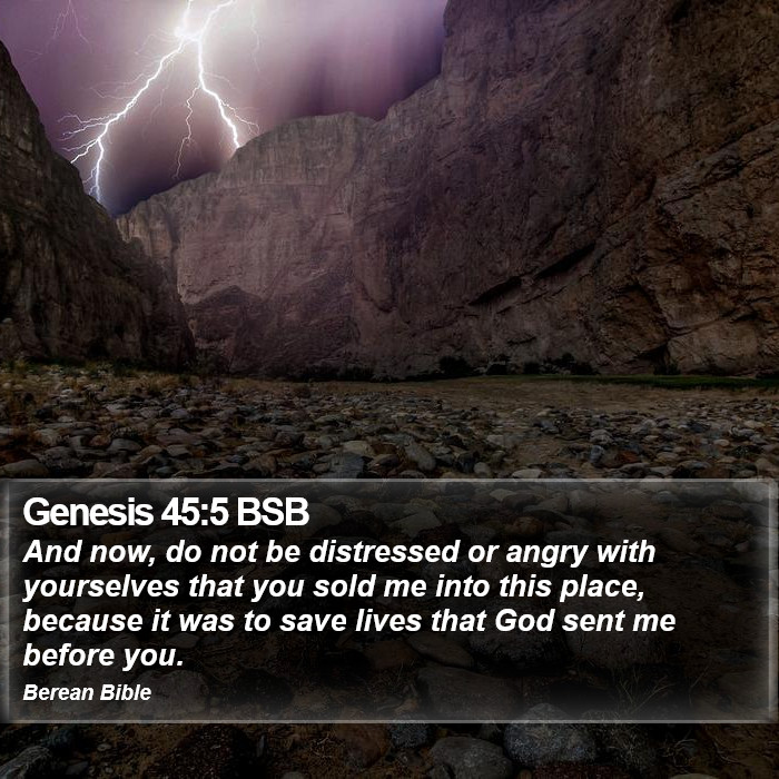 Genesis 45:5 BSB Bible Study