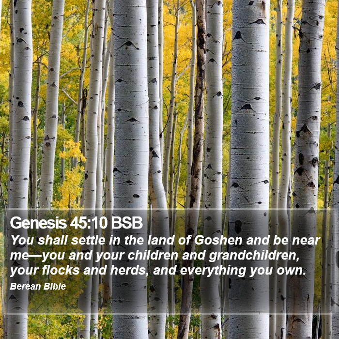 Genesis 45:10 BSB Bible Study