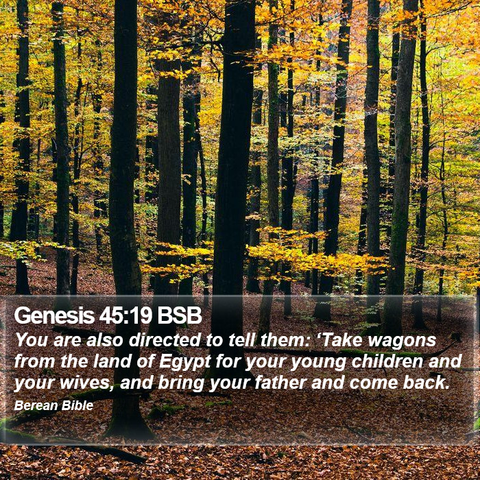 Genesis 45:19 BSB Bible Study