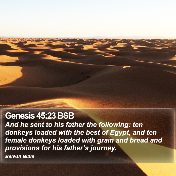 Genesis 45:23 BSB Bible Study