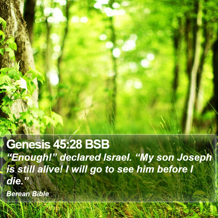 Genesis 45:28 BSB Bible Study