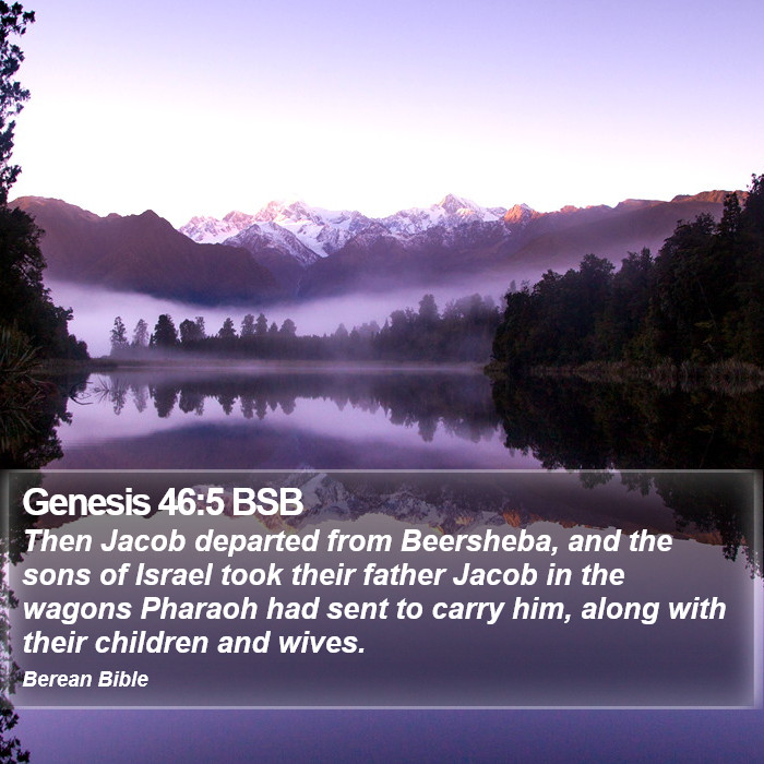 Genesis 46:5 BSB Bible Study