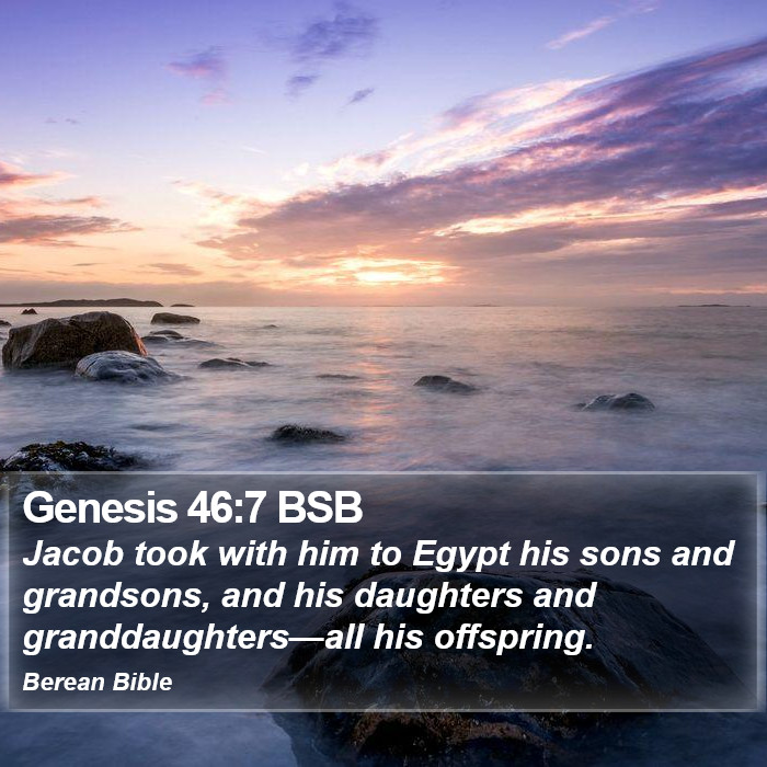 Genesis 46:7 BSB Bible Study