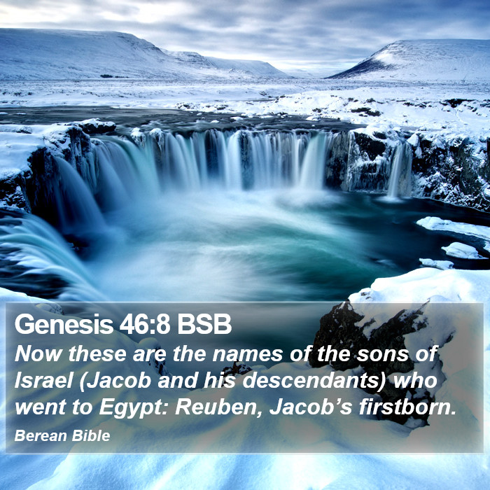 Genesis 46:8 BSB Bible Study