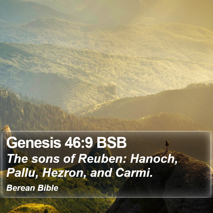 Genesis 46:9 BSB Bible Study