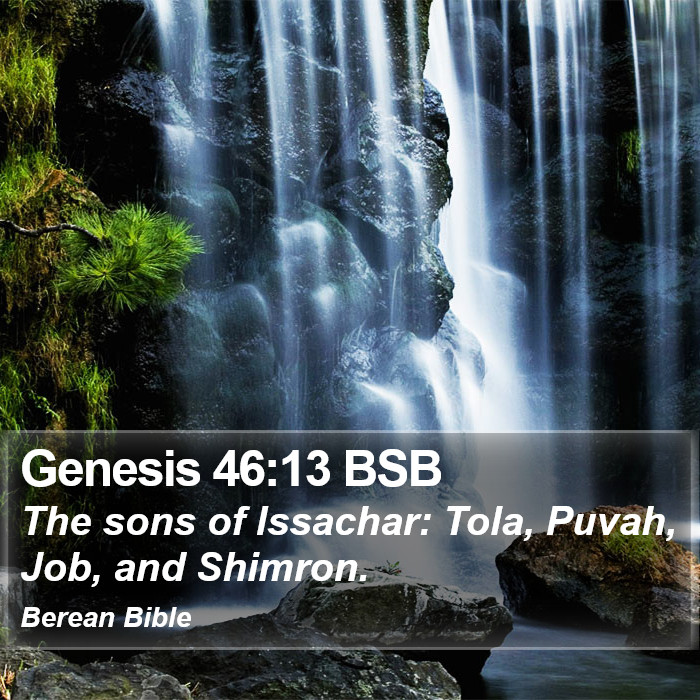 Genesis 46:13 BSB Bible Study