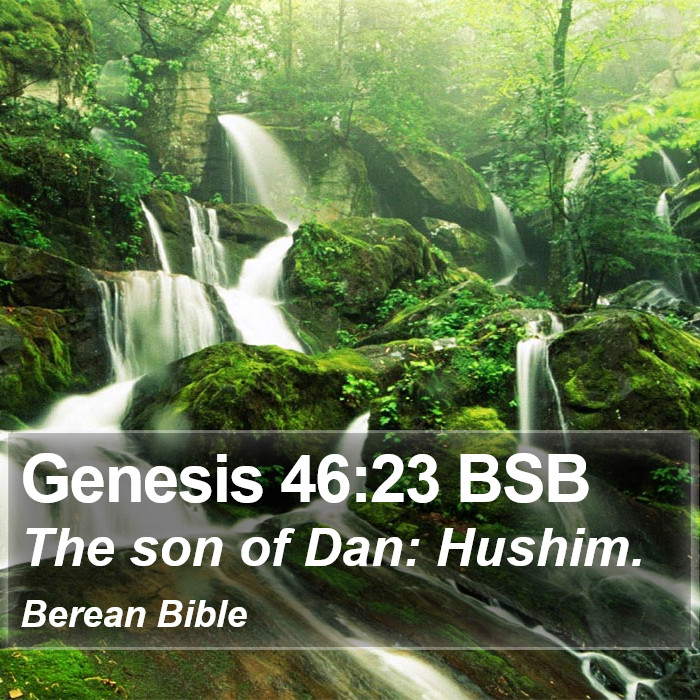 Genesis 46:23 BSB Bible Study