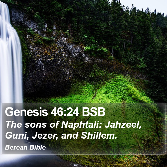 Genesis 46:24 BSB Bible Study