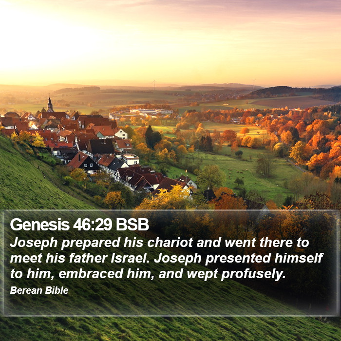 Genesis 46:29 BSB Bible Study