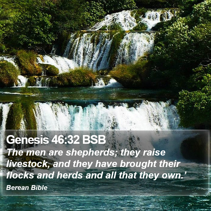 Genesis 46:32 BSB Bible Study