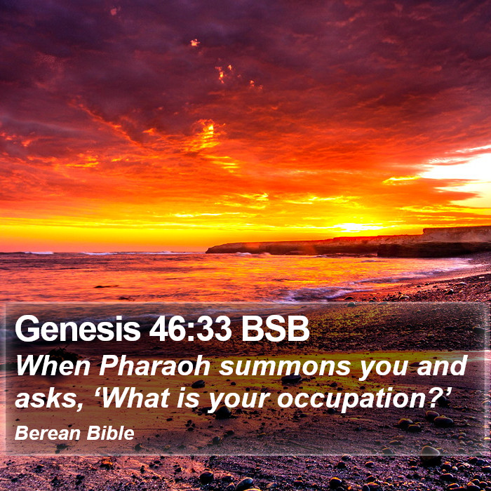 Genesis 46:33 BSB Bible Study