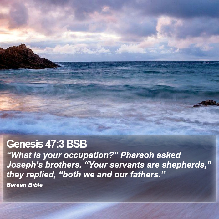 Genesis 47:3 BSB Bible Study