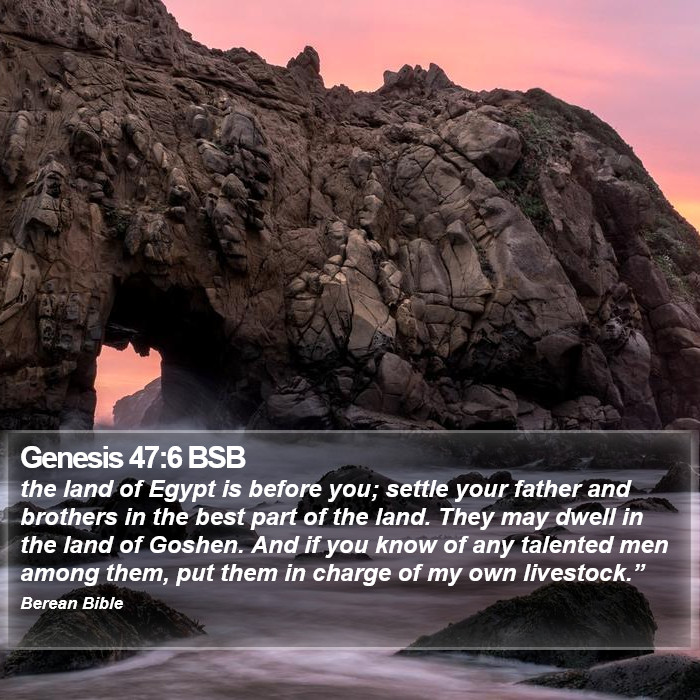 Genesis 47:6 BSB Bible Study