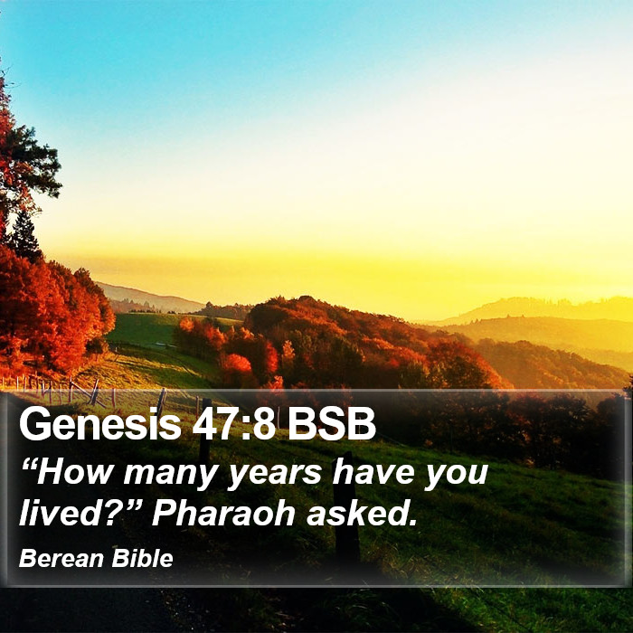 Genesis 47:8 BSB Bible Study