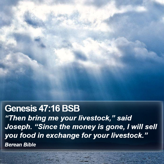 Genesis 47:16 BSB Bible Study