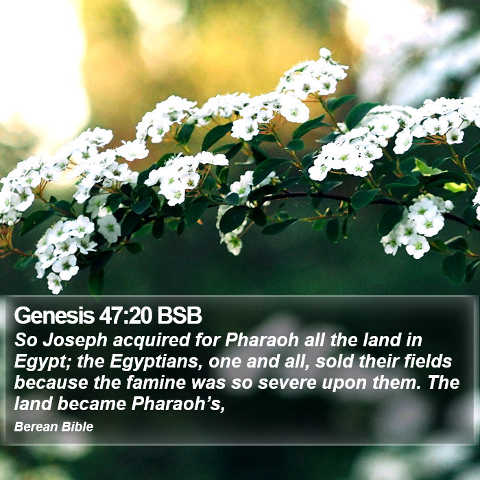 Genesis 47:20 BSB Bible Study