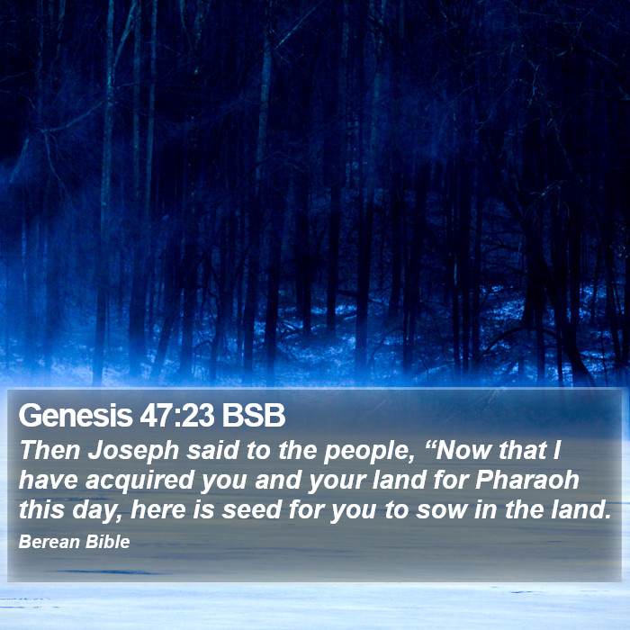 Genesis 47:23 BSB Bible Study