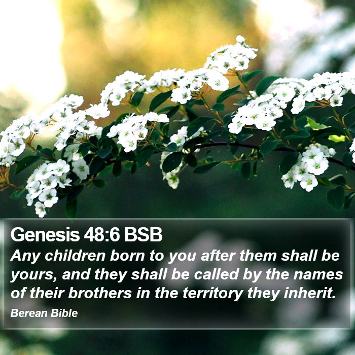 Genesis 48:6 BSB Bible Study