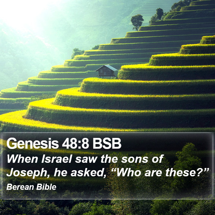 Genesis 48:8 BSB Bible Study