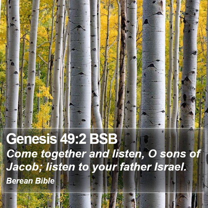 Genesis 49:2 BSB Bible Study