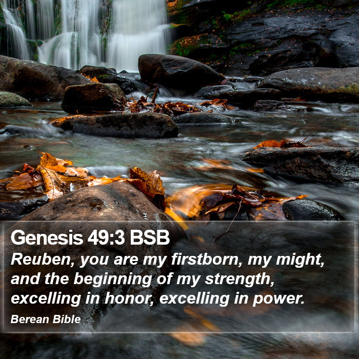 Genesis 49:3 BSB Bible Study