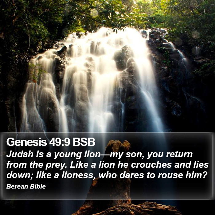 Genesis 49:9 BSB Bible Study