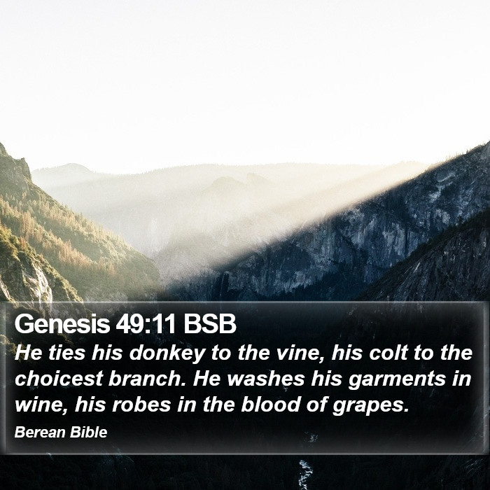 Genesis 49:11 BSB Bible Study