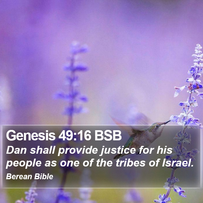 Genesis 49:16 BSB Bible Study