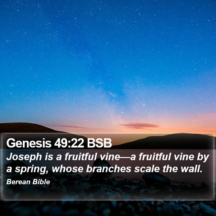 Genesis 49:22 BSB Bible Study