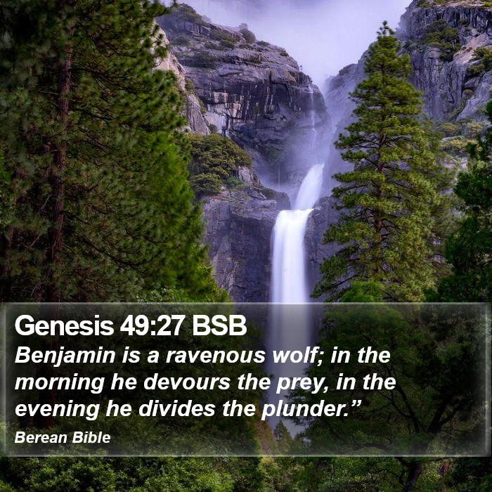 Genesis 49:27 BSB Bible Study