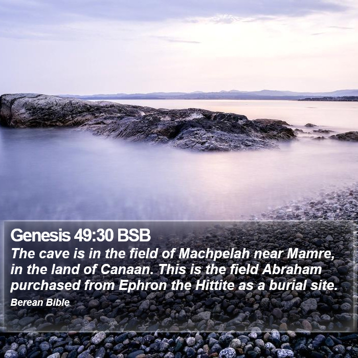 Genesis 49:30 BSB Bible Study