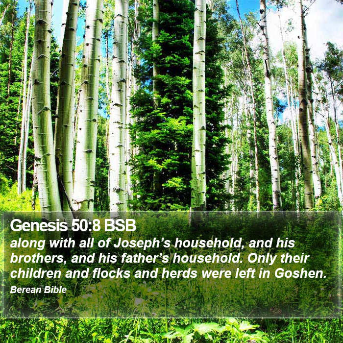 Genesis 50:8 BSB Bible Study