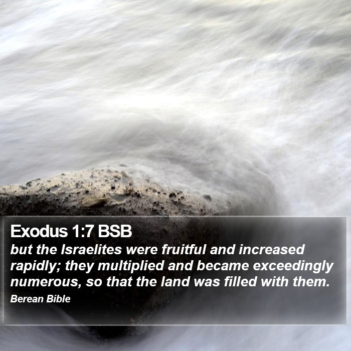 Exodus 1:7 BSB Bible Study